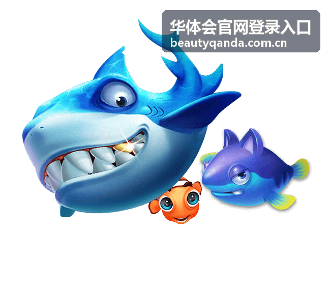 华体会平台介绍 - 华体会官网登录入口 平台概览
